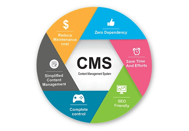 CMS Sistemleri